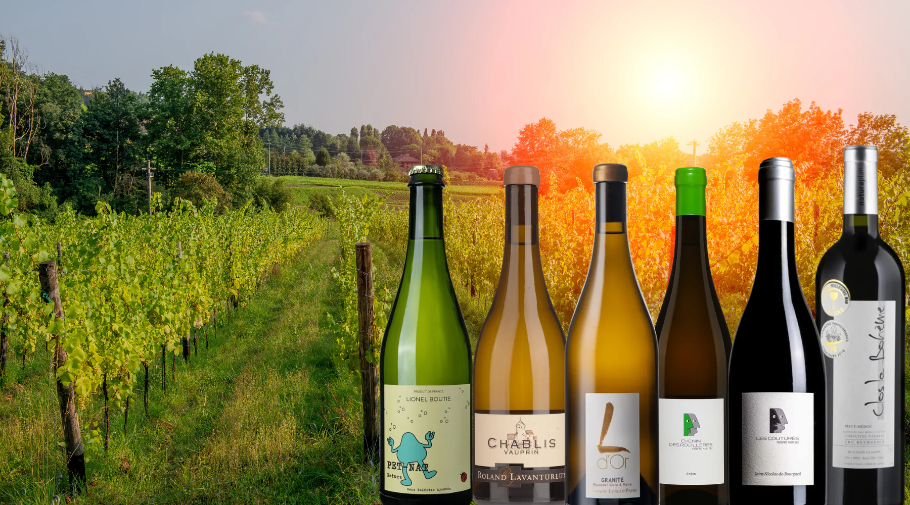 Ireland's Most Awarded Wine Collection